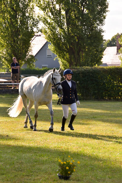 Goldene Schärpe Ponys in Hohenberg Krusemark 2024 | 14072024 Vormustern_024 