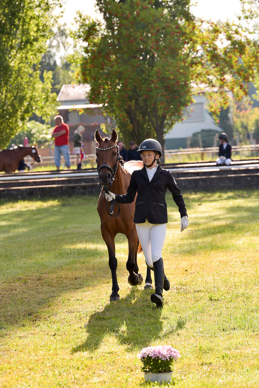 Goldene Schärpe Ponys in Hohenberg Krusemark 2024 | 14072024 Vormustern_025 