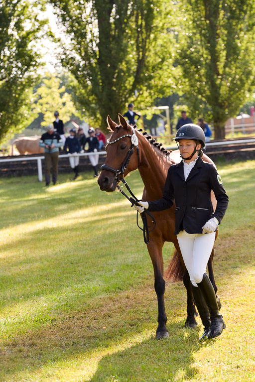 Goldene Schärpe Ponys in Hohenberg Krusemark 2024 | 14072024 Vormustern_026 