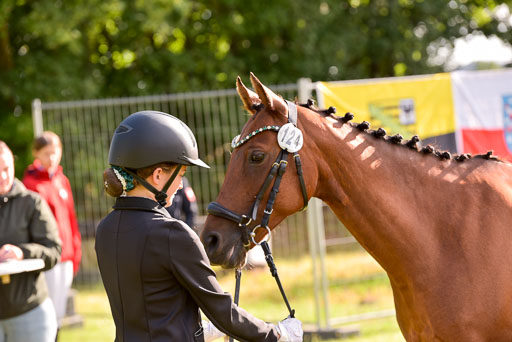 Goldene Schärpe Ponys in Hohenberg Krusemark 2024 | 14072024 Vormustern_028 
