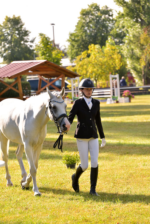 Goldene Schärpe Ponys in Hohenberg Krusemark 2024 | 14072024 Vormustern_031 