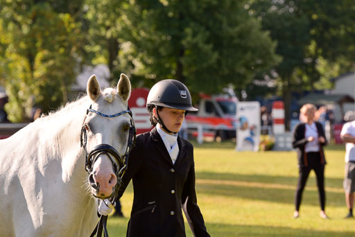 Goldene Schärpe Ponys in Hohenberg Krusemark 2024 | 14072024 Vormustern_032 