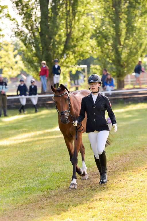Goldene Schärpe Ponys in Hohenberg Krusemark 2024 | 14072024 Vormustern_033 