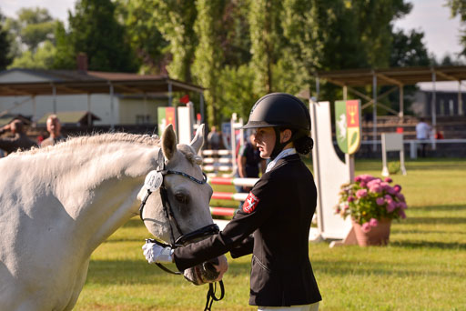 Goldene Schärpe Ponys in Hohenberg Krusemark 2024 | 14072024 Vormustern_035 
