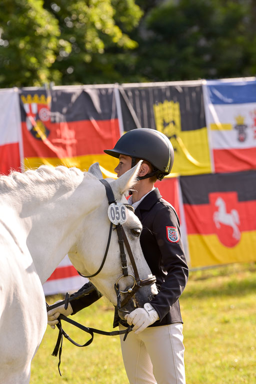Goldene Schärpe Ponys in Hohenberg Krusemark 2024 | 14072024 Vormustern_039 
