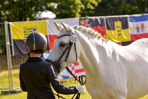 Goldene Schärpe Ponys in Hohenberg Krusemark 2024 | 14072024 Vormustern_044 