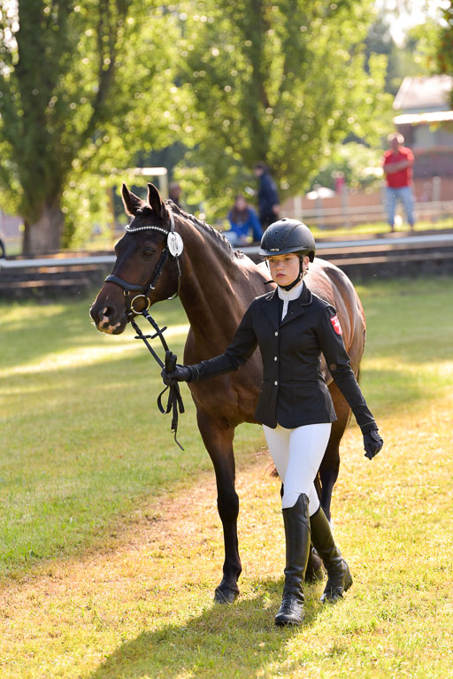 Goldene Schärpe Ponys in Hohenberg Krusemark 2024 | 14072024 Vormustern_049 