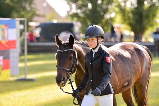 Goldene Schärpe Ponys in Hohenberg Krusemark 2024 | 14072024 Vormustern_050 