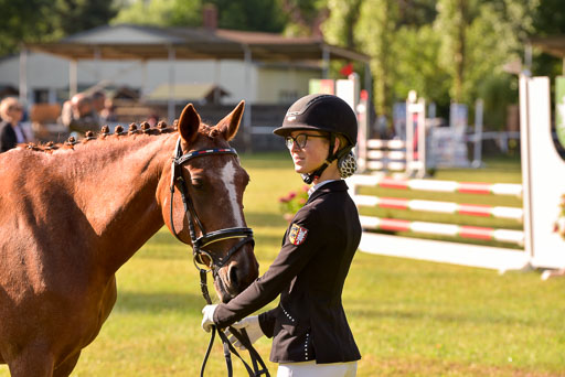 Goldene Schärpe Ponys in Hohenberg Krusemark 2024 | 14072024 Vormustern_053 