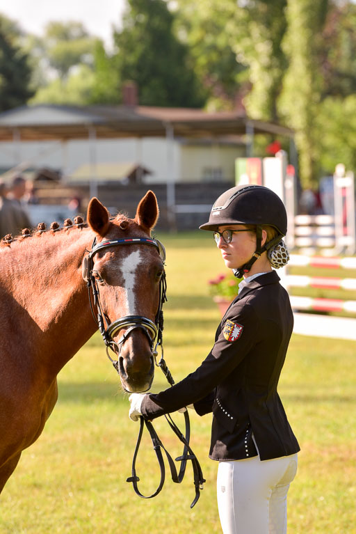 Goldene Schärpe Ponys in Hohenberg Krusemark 2024 | 14072024 Vormustern_054 
