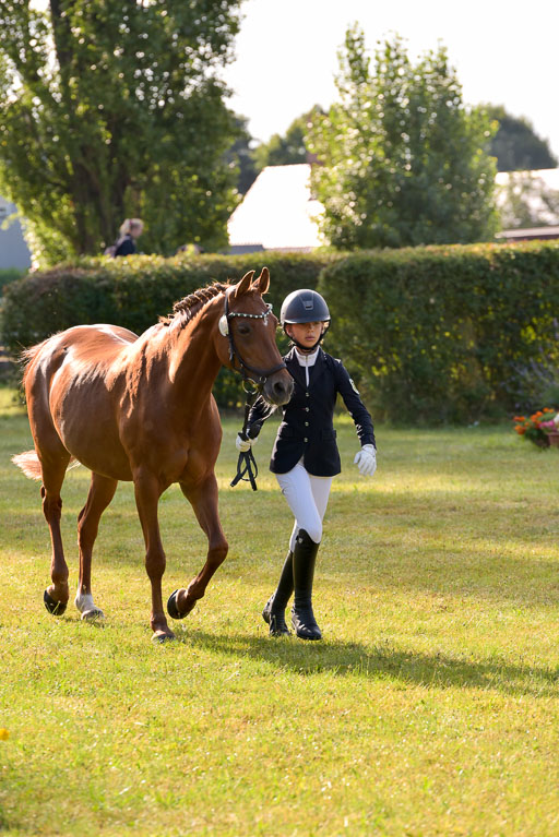 Goldene Schärpe Ponys in Hohenberg Krusemark 2024 | 14072024 Vormustern_060 