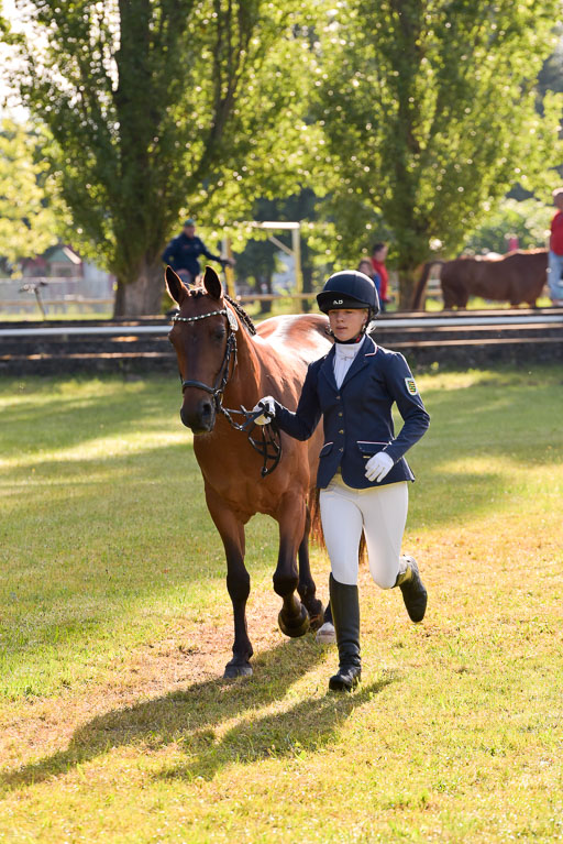 Goldene Schärpe Ponys in Hohenberg Krusemark 2024 | 14072024 Vormustern_062 
