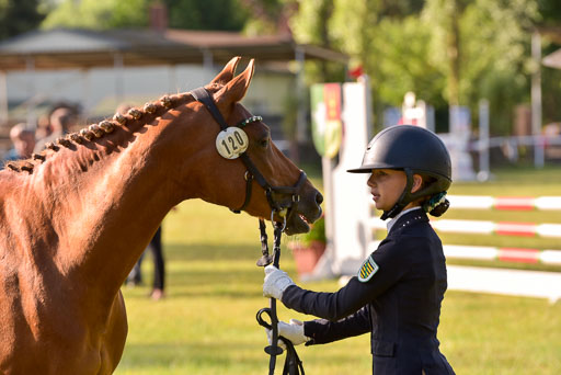 Goldene Schärpe Ponys in Hohenberg Krusemark 2024 | 14072024 Vormustern_064 
