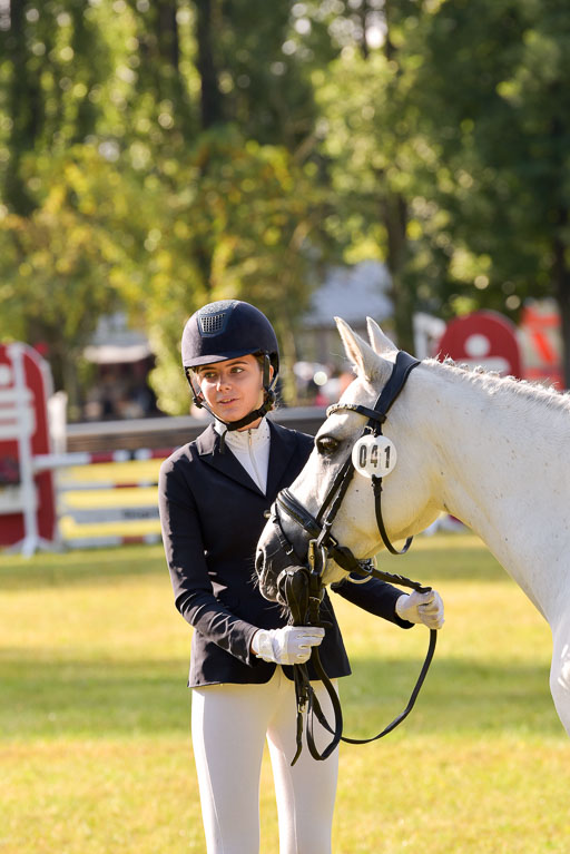 Goldene Schärpe Ponys in Hohenberg Krusemark 2024 | 14072024 Vormustern_067 