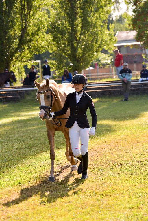 Goldene Schärpe Ponys in Hohenberg Krusemark 2024 | 14072024 Vormustern_068 