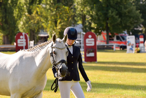 Goldene Schärpe Ponys in Hohenberg Krusemark 2024 | 14072024 Vormustern_070 