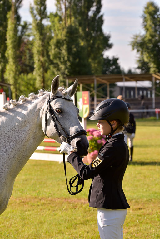 Goldene Schärpe Ponys in Hohenberg Krusemark 2024 | 14072024 Vormustern_074 