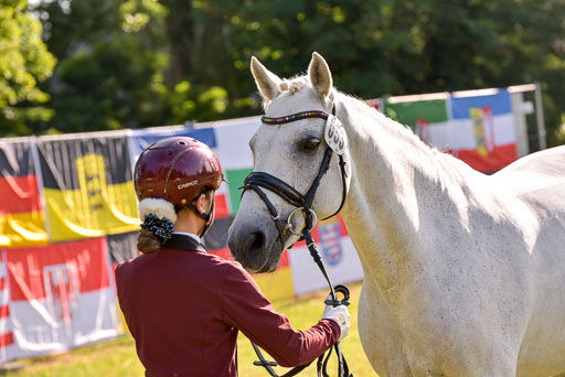 Goldene Schärpe Ponys in Hohenberg Krusemark 2024 | 14072024 Vormustern_077 