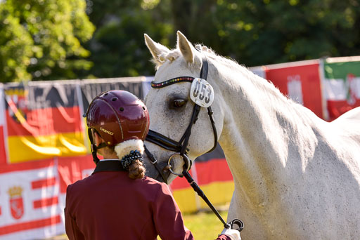 Goldene Schärpe Ponys in Hohenberg Krusemark 2024 | 14072024 Vormustern_078 