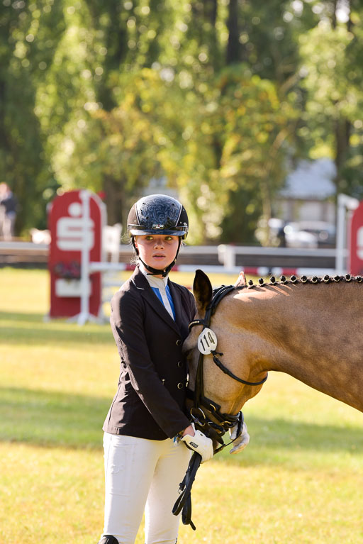 Goldene Schärpe Ponys in Hohenberg Krusemark 2024 | 14072024 Vormustern_081 