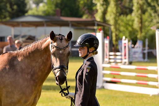 Goldene Schärpe Ponys in Hohenberg Krusemark 2024 | 14072024 Vormustern_083 