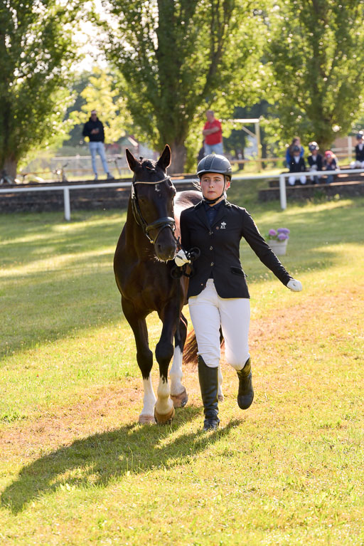 Goldene Schärpe Ponys in Hohenberg Krusemark 2024 | 14072024 Vormustern_084 