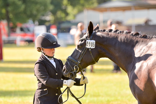 Goldene Schärpe Ponys in Hohenberg Krusemark 2024 | 14072024 Vormustern_087 