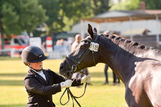 Goldene Schärpe Ponys in Hohenberg Krusemark 2024 | 14072024 Vormustern_088 