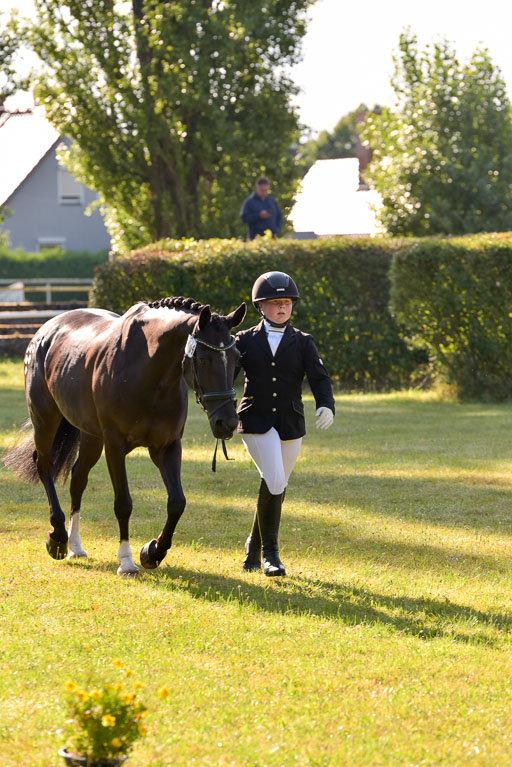 Goldene Schärpe Ponys in Hohenberg Krusemark 2024 | 14072024 Vormustern_092 