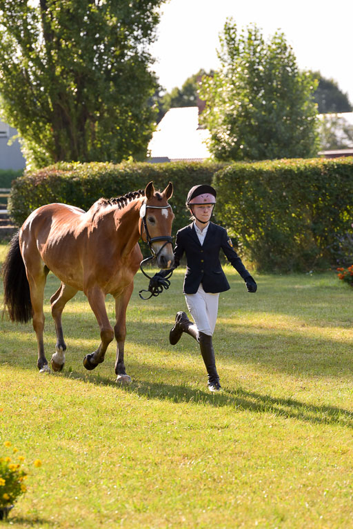 Goldene Schärpe Ponys in Hohenberg Krusemark 2024 | 14072024 Vormustern_100 