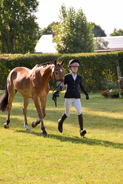 Goldene Schärpe Ponys in Hohenberg Krusemark 2024 | 14072024 Vormustern_101 