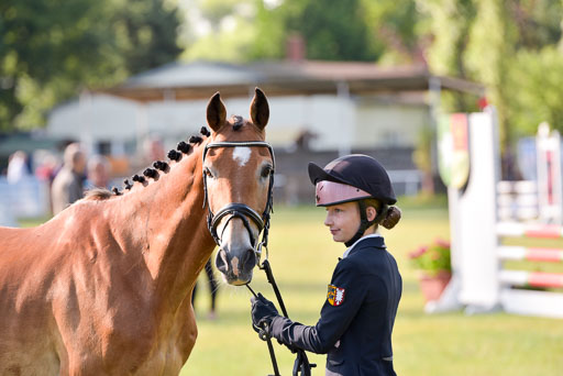 Goldene Schärpe Ponys in Hohenberg Krusemark 2024 | 14072024 Vormustern_103 