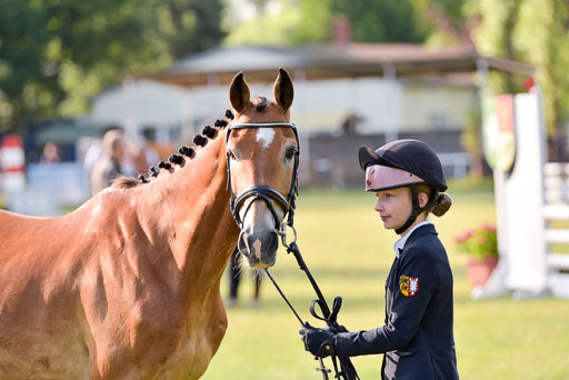 Goldene Schärpe Ponys in Hohenberg Krusemark 2024 | 14072024 Vormustern_104 