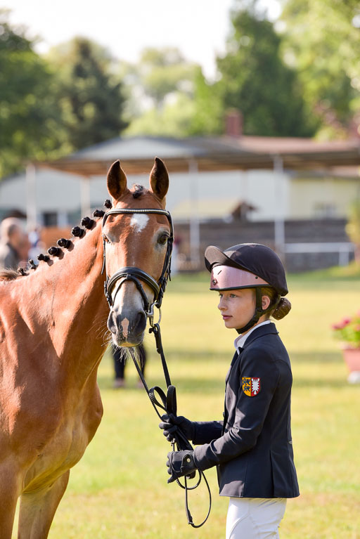 Goldene Schärpe Ponys in Hohenberg Krusemark 2024 | 14072024 Vormustern_105 