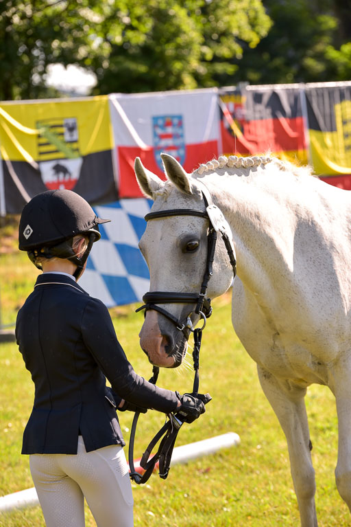 Goldene Schärpe Ponys in Hohenberg Krusemark 2024 | 14072024 Vormustern_110 