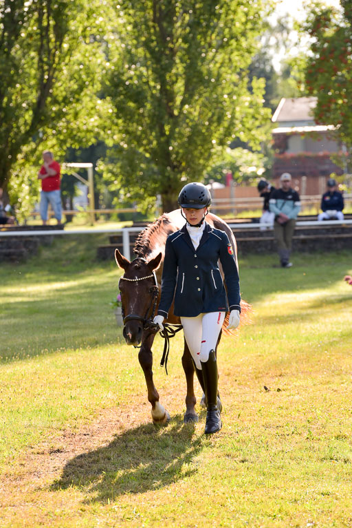 Goldene Schärpe Ponys in Hohenberg Krusemark 2024 | 14072024 Vormustern_114 