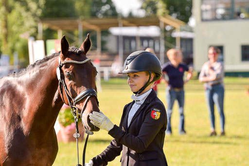 Goldene Schärpe Ponys in Hohenberg Krusemark 2024 | 14072024 Vormustern_115 