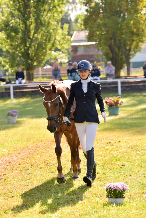 Goldene Schärpe Ponys in Hohenberg Krusemark 2024 | 14072024 Vormustern_118 