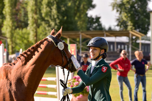 Goldene Schärpe Ponys in Hohenberg Krusemark 2024 | 14072024 Vormustern_124 