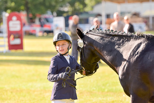 Goldene Schärpe Ponys in Hohenberg Krusemark 2024 | 14072024 Vormustern_127 