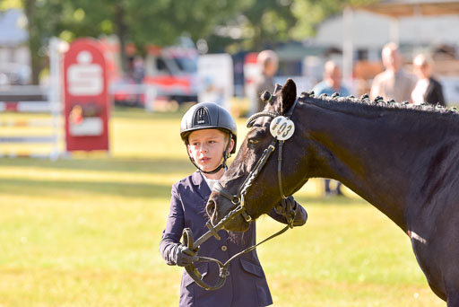 Goldene Schärpe Ponys in Hohenberg Krusemark 2024 | 14072024 Vormustern_128 