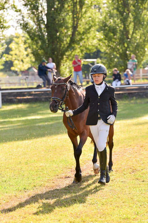 Goldene Schärpe Ponys in Hohenberg Krusemark 2024 | 14072024 Vormustern_129 