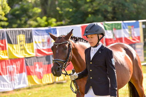 Goldene Schärpe Ponys in Hohenberg Krusemark 2024 | 14072024 Vormustern_131 