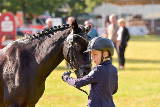 Goldene Schärpe Ponys in Hohenberg Krusemark 2024 | 14072024 Vormustern_133 