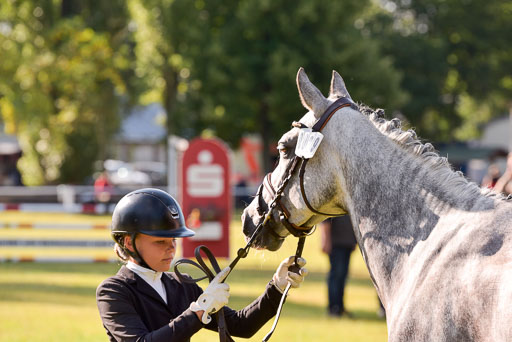 Goldene Schärpe Ponys in Hohenberg Krusemark 2024 | 14072024 Vormustern_134 