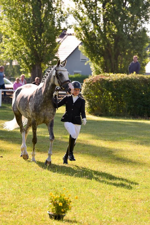 Goldene Schärpe Ponys in Hohenberg Krusemark 2024 | 14072024 Vormustern_135 