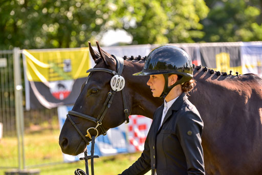 Goldene Schärpe Ponys in Hohenberg Krusemark 2024 | 14072024 Vormustern_139 