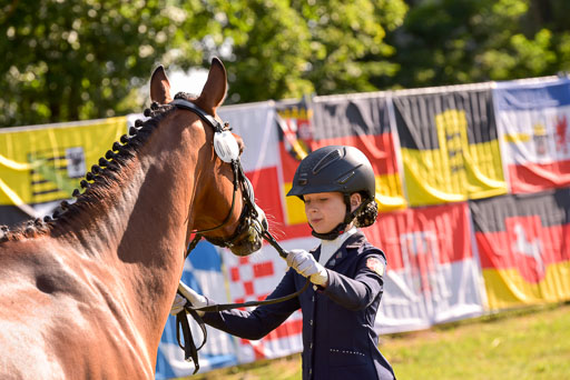 Goldene Schärpe Ponys in Hohenberg Krusemark 2024 | 14072024 Vormustern_141 