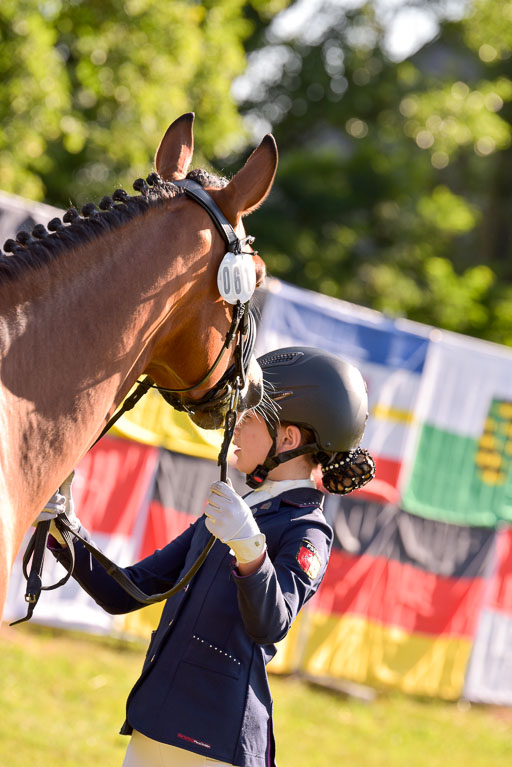 Goldene Schärpe Ponys in Hohenberg Krusemark 2024 | 14072024 Vormustern_142 