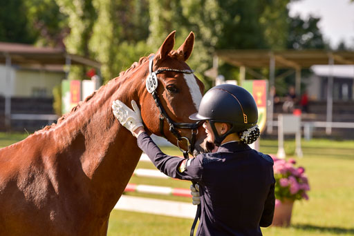 Goldene Schärpe Ponys in Hohenberg Krusemark 2024 | 14072024 Vormustern_145 